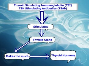 Thyroid Gland