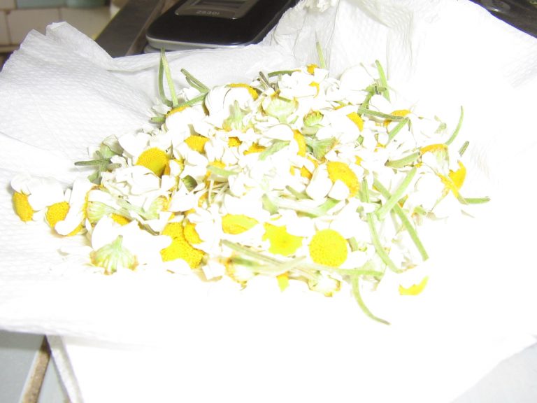 Graves’ Disease Recipes Graves Disease Cure