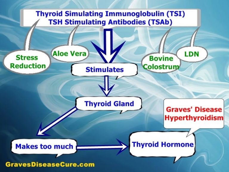 Graves’ Disease- Fix your immune system and be done… – Graves Disease Cure